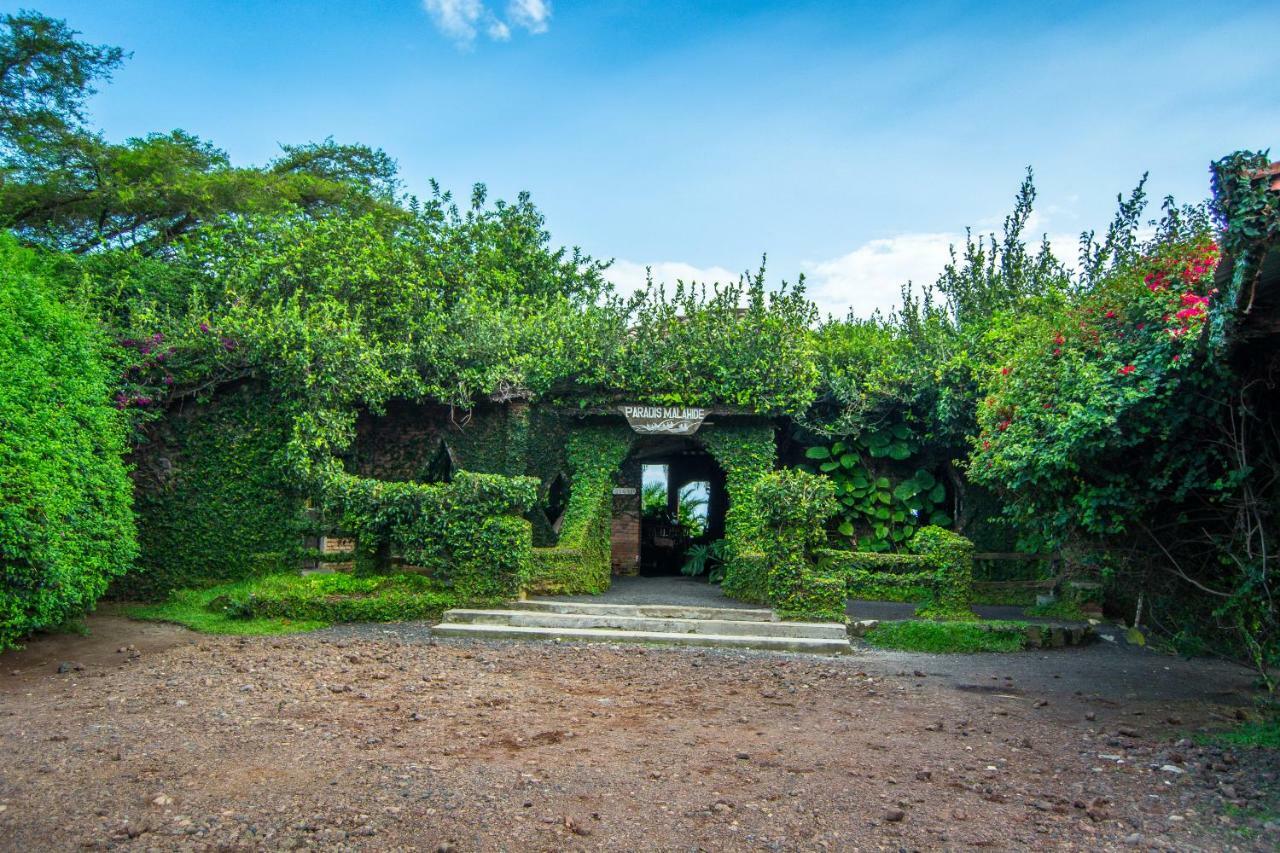 Paradis Malahide Gisenyi Bagian luar foto